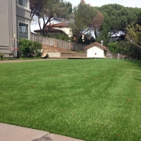 Artificial Grass Live Oak, Florida Home Putting Green, Backyard Landscape Ideas