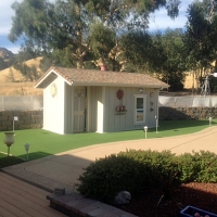 Artificial Grass Sarasota Springs, Florida Putting Green, Commercial Landscape