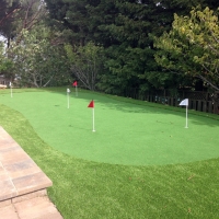 Artificial Lawn Fernandina Beach, Florida Putting Green, Backyards