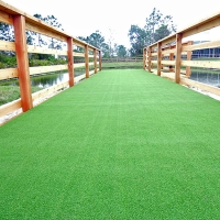 Artificial Turf Cost Wauchula, Florida Landscape Photos, Commercial Landscape