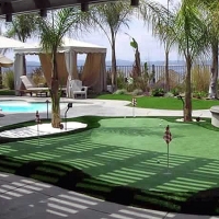 Artificial Turf Cost Wedgefield, Florida Golf Green, Backyard Pool