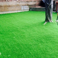 Artificial Turf Edgewater, Florida Athletic Playground, Backyard Garden Ideas