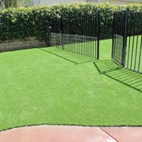 Artificial Turf Heathrow, Florida Dog Grass, Landscaping Ideas For Front Yard