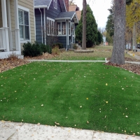 Artificial Turf Installation Alafaya, Florida Garden Ideas, Front Yard