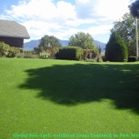 Artificial Turf North Port, Florida Pet Paradise, Beautiful Backyards