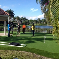 Artificial Turf Wimauma, Florida Outdoor Putting Green, Backyard Makeover