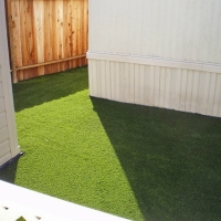 Best Artificial Grass Fort Pierce North, Florida Dog Pound, Backyard Landscaping Ideas