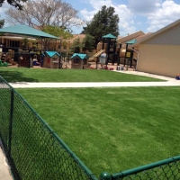 Best Artificial Grass Shady Hills, Florida Landscape Design, Commercial Landscape