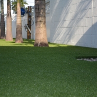 Fake Grass Carpet Opa-locka, Florida Backyard Playground, Commercial Landscape