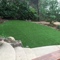 Fake Grass Carpet Pompano Beach Highlands, Florida Lawns, Backyard