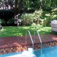 Fake Grass Carpet West Samoset, Florida Home And Garden, Backyard Ideas