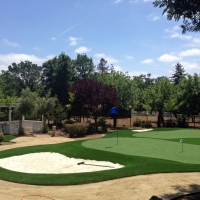 Fake Lawn Oldsmar, Florida Gardeners, Front Yard Landscaping