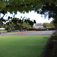 Fake Turf Coconut Creek, Florida Sports Turf, Commercial Landscape