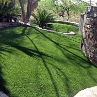 Faux Grass Punta Gorda, Florida Hotel For Dogs