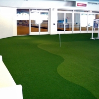 Grass Carpet Citrus Park, Florida Artificial Putting Greens, Commercial Landscape