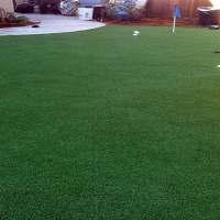 Grass Carpet Immokalee, Florida Garden Ideas, Backyard Garden Ideas