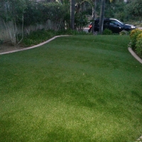 Grass Carpet New Smyrna Beach, Florida Home And Garden, Front Yard