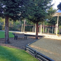 Grass Carpet Rotonda, Florida Playground