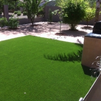 Grass Installation Pembroke Pines, Florida Grass For Dogs, Backyards