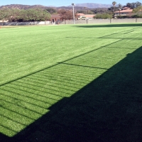 Grass Turf Zephyrhills South, Florida City Landscape