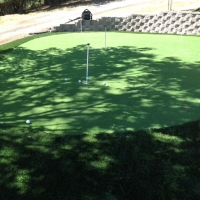 Green Lawn Fuller Heights, Florida Landscape Rock, Backyard Landscaping