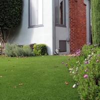 Installing Artificial Grass Dania Beach, Florida City Landscape, Front Yard Landscape Ideas