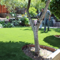 Lawn Services Pompano Beach, Florida Lawn And Landscape, Backyard Design