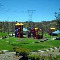 Outdoor Carpet Apollo Beach, Florida Landscaping, Parks