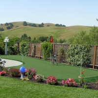 Outdoor Carpet Belle Isle, Florida Roof Top, Backyard Landscaping