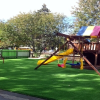 Outdoor Carpet Boyette, Florida Lawn And Landscape, Commercial Landscape