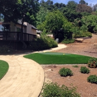 Outdoor Carpet Ocoee, Florida Backyard Putting Green, Front Yard Landscaping