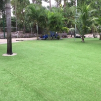 Outdoor Carpet Ojus, Florida Landscaping Business, Commercial Landscape