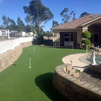 Plastic Grass Lealman, Florida Golf Green, Backyard Design