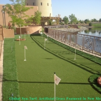 Synthetic Grass Cost Punta Gorda, Florida How To Build A Putting Green, Backyard Designs