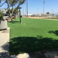 Synthetic Grass Sunny Isles Beach, Florida Design Ideas, Parks