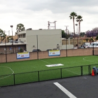 Synthetic Lawn Cypress Gardens, Florida Red Turf, Commercial Landscape