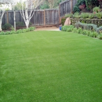 Synthetic Lawn Hamptons at Boca Raton, Florida Landscaping, Small Backyard Ideas