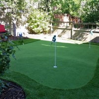 Synthetic Turf Century Village, Florida Indoor Putting Green, Backyards