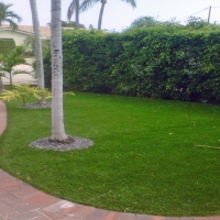 Synthetic Turf Goldenrod, Florida Garden Ideas, Front Yard Landscape Ideas