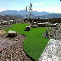 Turf Grass North Andrews Gardens, Florida Landscaping Business, Small Backyard Ideas