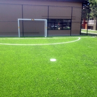 Turf Grass Temple Terrace, Florida Roof Top