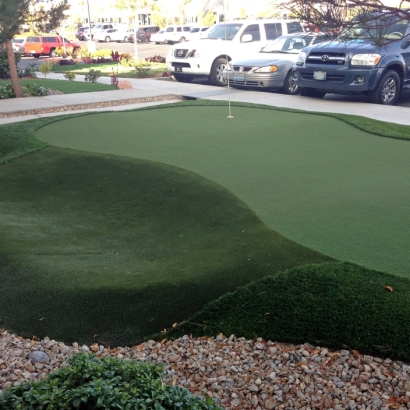 Artificial Grass Bartow, Florida Landscaping Business, Commercial Landscape