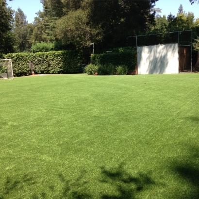 Artificial Grass Carpet Arcadia, Florida High School Sports, Backyard Landscaping