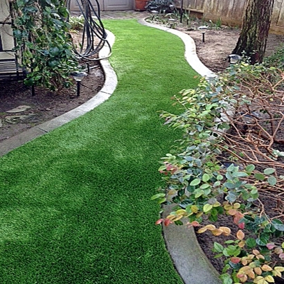 Artificial Grass Carpet Mims, Florida Landscaping, Backyards