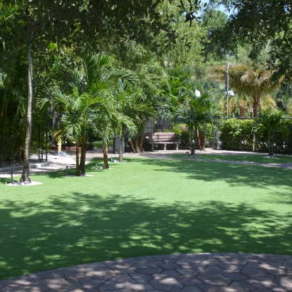 Artificial Grass Carpet Norland, Florida Roof Top, Pavers