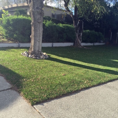 Artificial Grass Carpet Sanford, Florida Backyard Deck Ideas, Front Yard Ideas