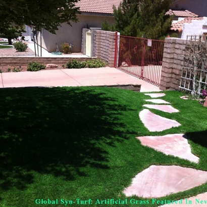 Artificial Grass Carpet Venice, Florida Garden Ideas, Front Yard Landscape Ideas