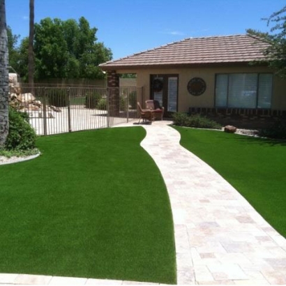 Artificial Grass Hallandale Beach, Florida Home And Garden, Front Yard