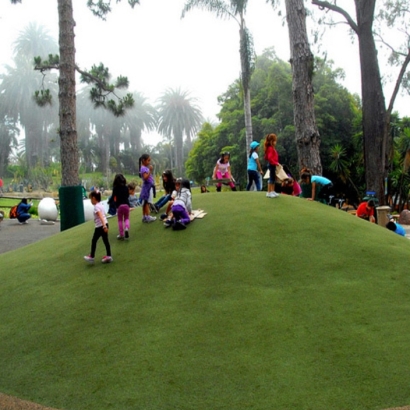 Artificial Grass Installation Greater Northdale, Florida Roof Top, Recreational Areas