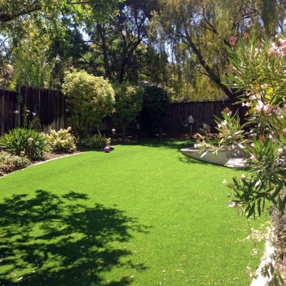 Artificial Grass Installation Pinellas Park, Florida Landscape Design, Beautiful Backyards
